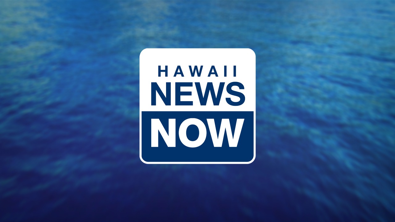 ハワイのニュース番組HAWAII NEWS NOWで紹介されました！