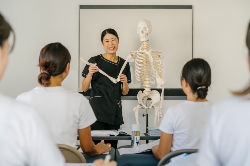 解剖学やマッサージ理論を日本語と英語の両方で勉強