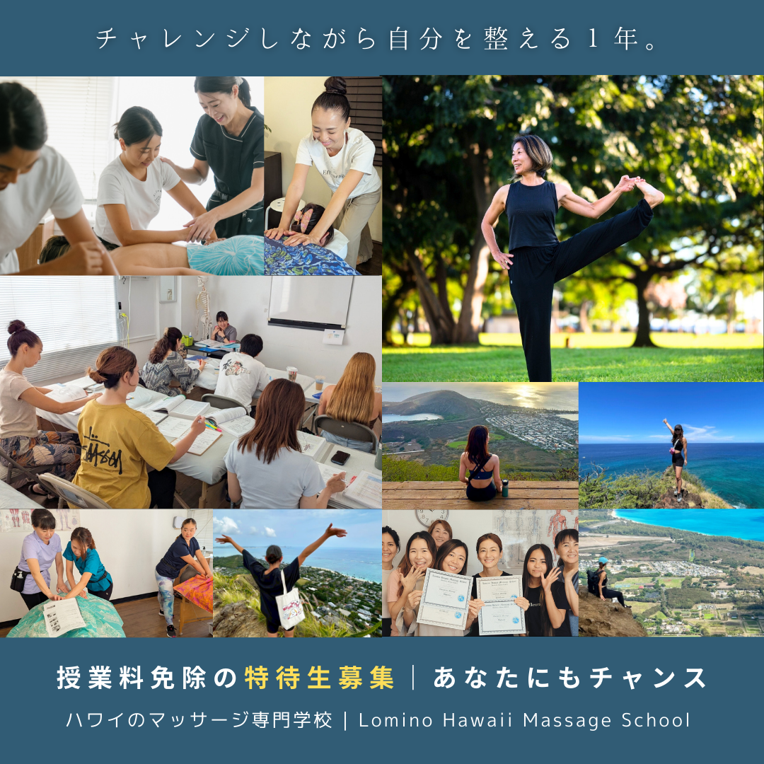 授業料免除で1年間のハワイ留学したい方へ